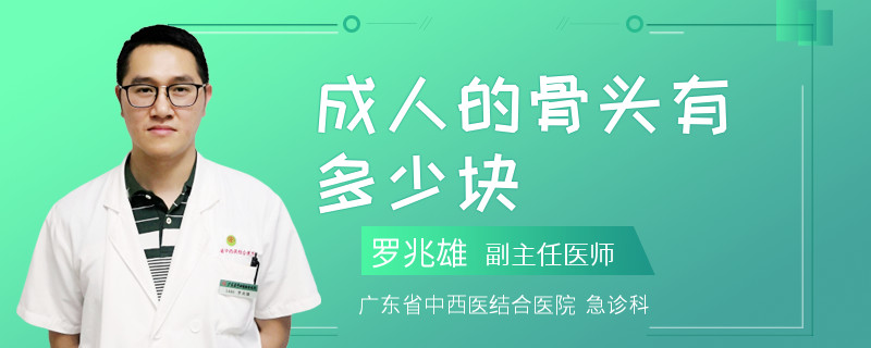 成人的骨头有多少块