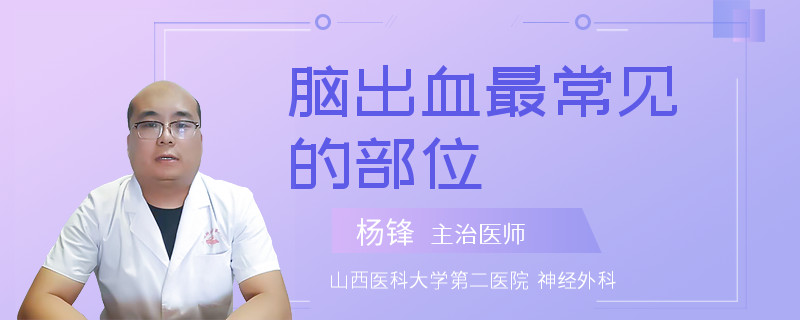 脑出血最常见的部位