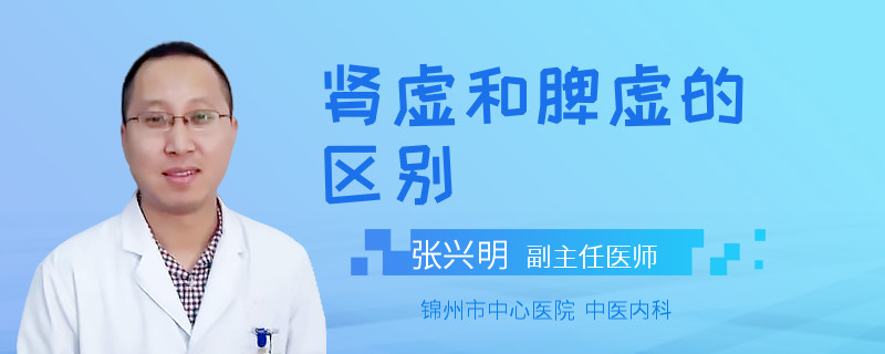 肾虚和脾虚的区别