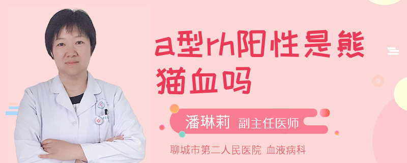 a型rh阳性是熊猫血吗
