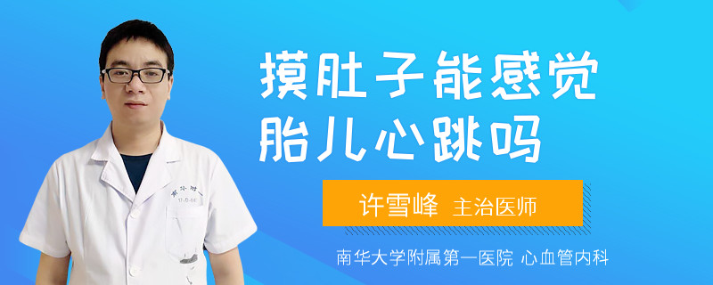 摸肚子能感觉胎儿心跳吗