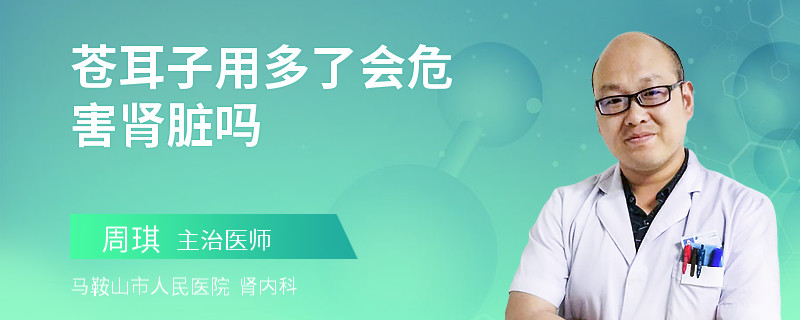 苍耳子用多了会危害肾脏吗