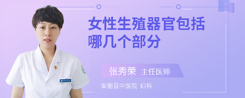 女性生殖器官包括哪几个部分
