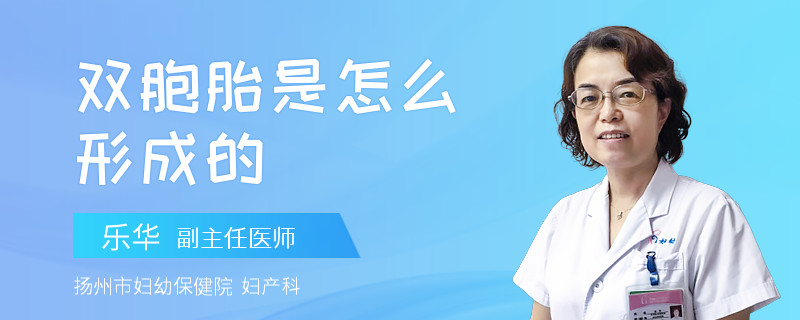 双胞胎是怎么形成的