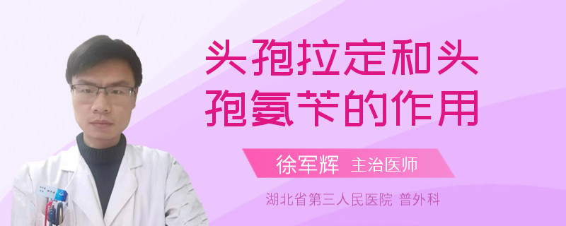 头孢拉定和头孢氨苄的作用