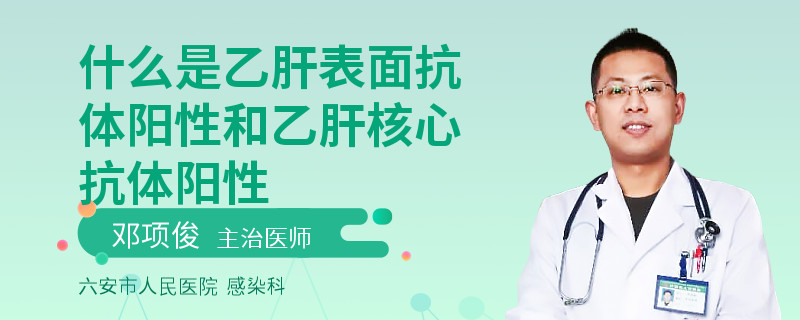 什么是乙肝表面抗体阳性和乙肝核心抗体阳性