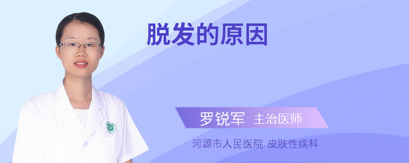脱发的原因