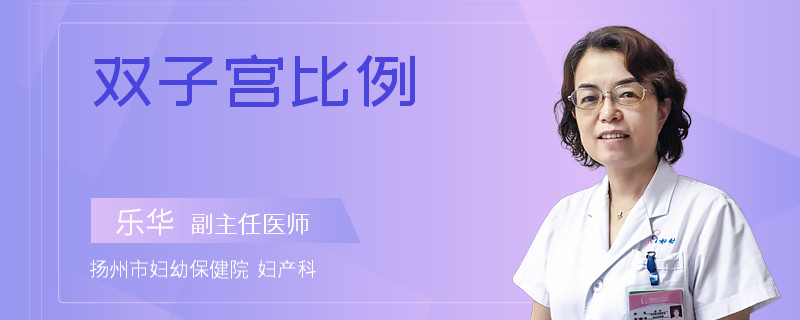 双子宫比例