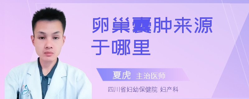 卵巢囊肿来源于哪里