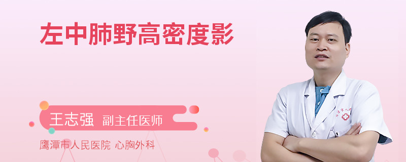 左中肺野高密度影