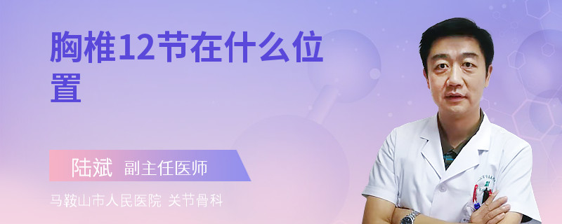 胸椎12节在什么位置