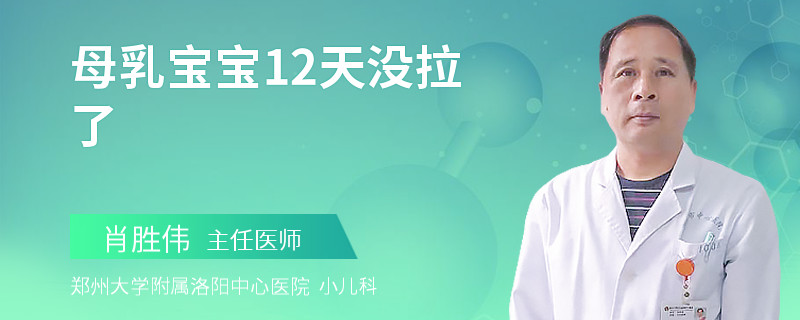 母乳宝宝12天没拉了