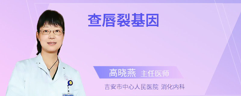 查唇裂基因