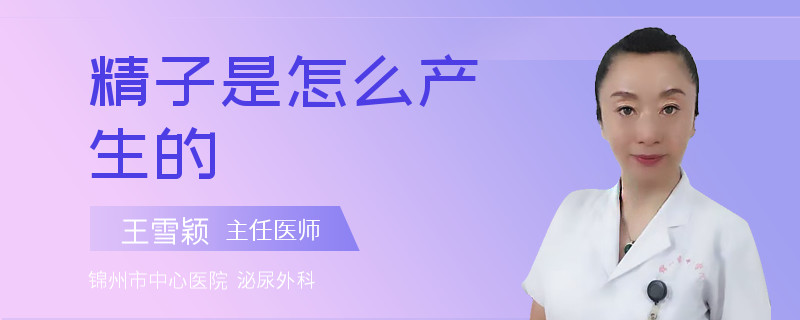 精子是怎么产生的