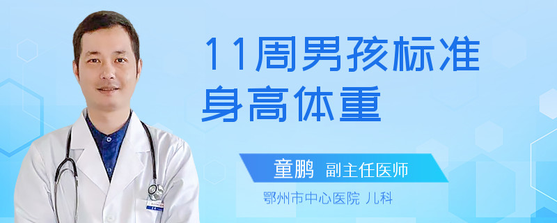 11周男孩标准身高体重