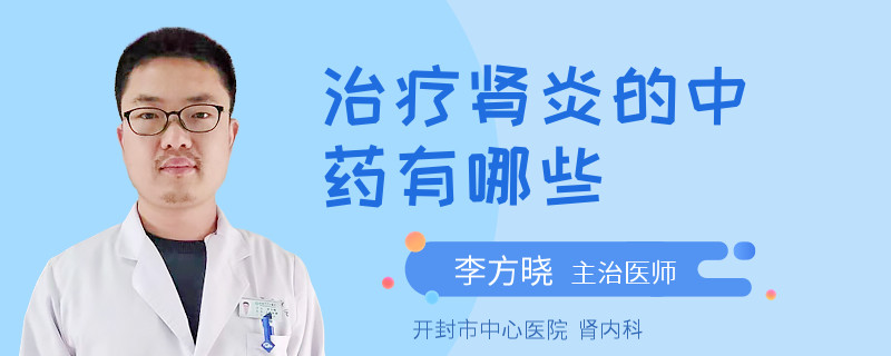 治疗肾炎的中药有哪些