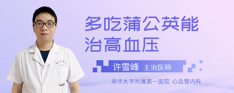 多吃蒲公英能治高血压