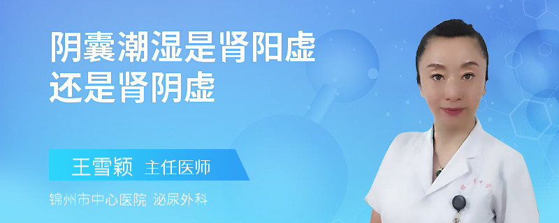 阴囊潮湿是肾阳虚还是肾阴虚