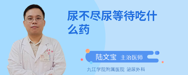 尿不尽尿等待吃什么药