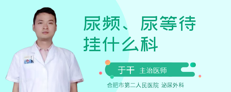 尿频、尿等待挂什么科