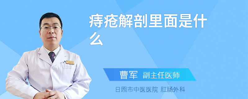 痔疮解剖里面是什么