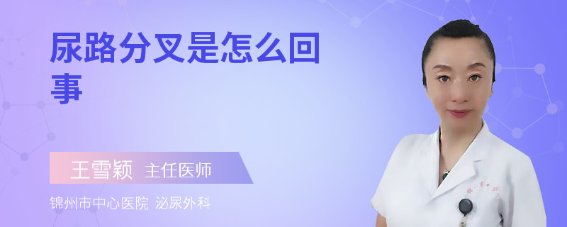 尿路分叉是怎么回事