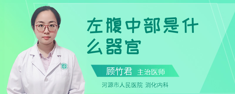 左腹中部是什么器官