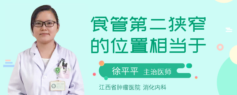 食管第二狭窄的位置相当于