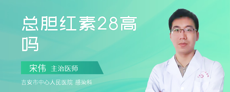 总胆红素28高吗