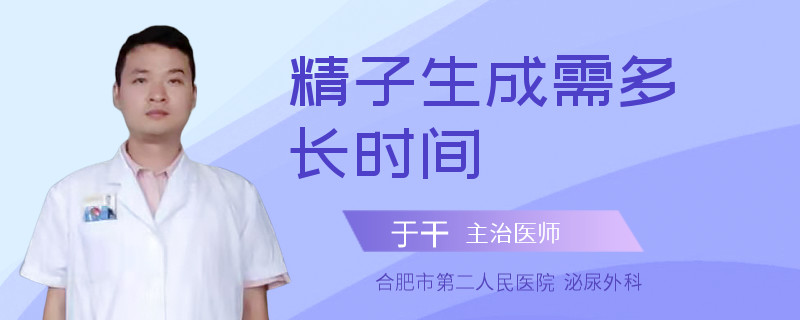 精子生成需多长时间