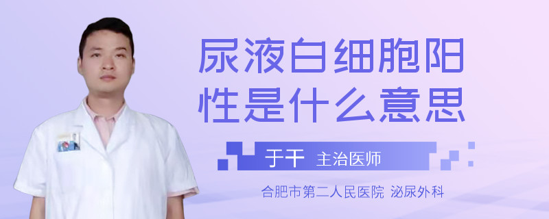 尿液白细胞阳性是什么意思