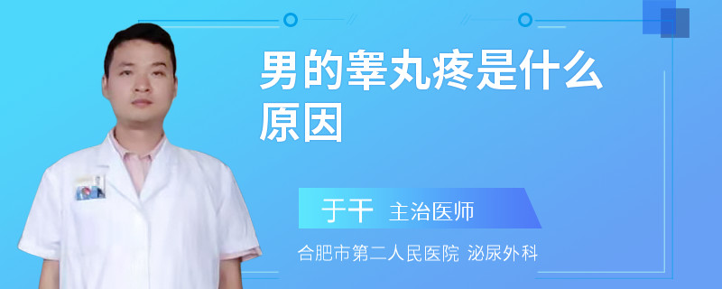 男的睾丸疼是什么原因