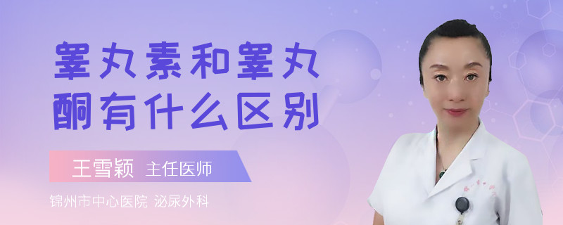 睾丸素和睾丸酮有什么区别