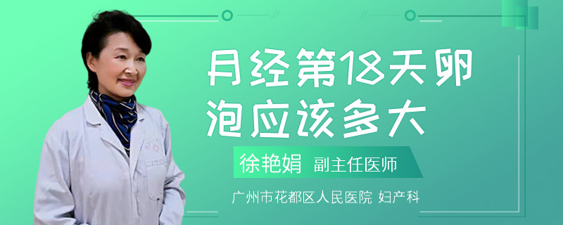 月经第18天卵泡应该多大