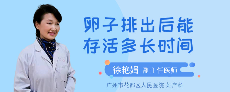 卵子排出后能存活多长时间