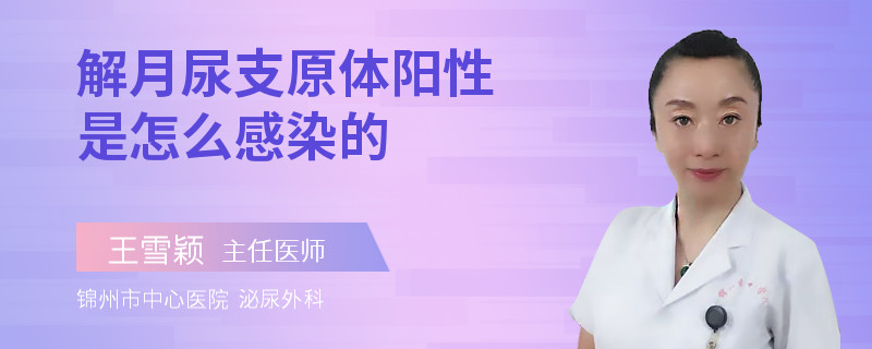 解月尿支原体阳性是怎么感染的