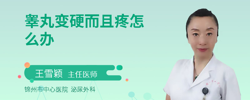 睾丸变硬而且疼怎么办