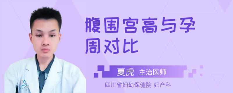 腹围宫高与孕周对比
