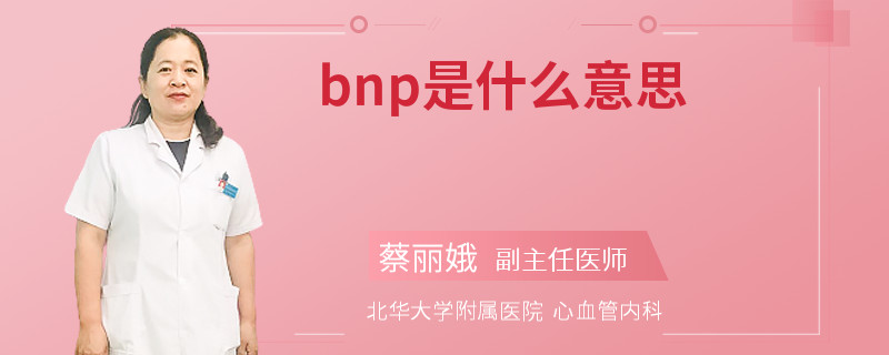bnp是什么意思