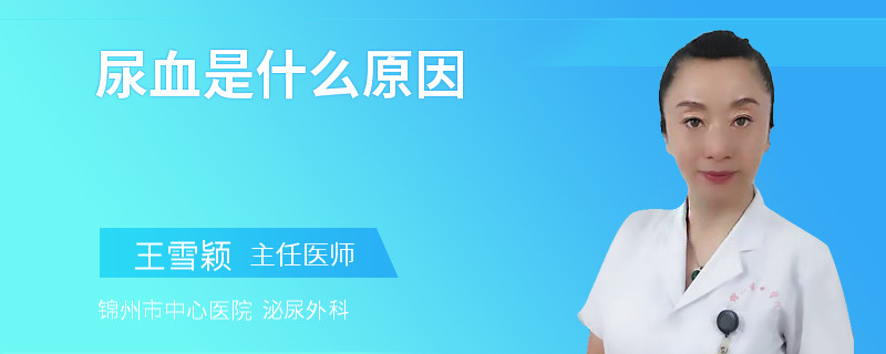 尿血是什么原因