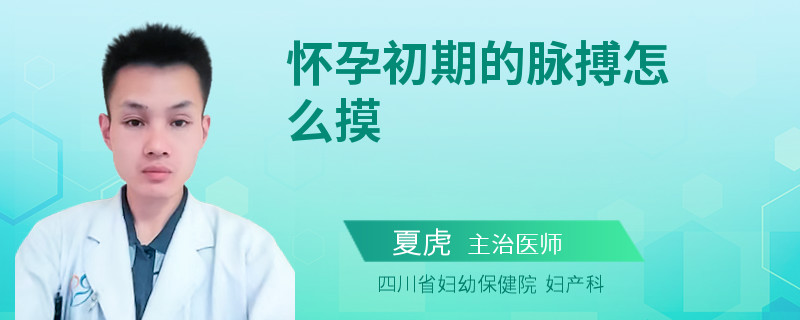 怀孕初期的脉搏怎么摸