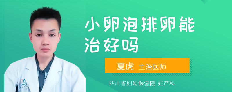 小卵泡排卵能治好吗