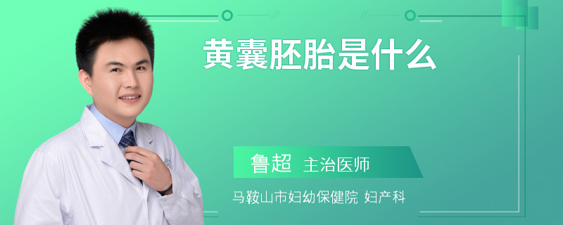 黄囊胚胎是什么