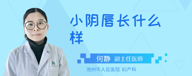 小阴唇长什么样