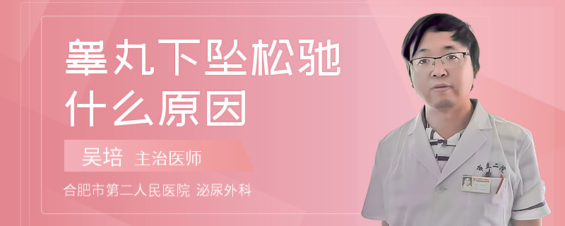 睾丸下坠松驰什么原因