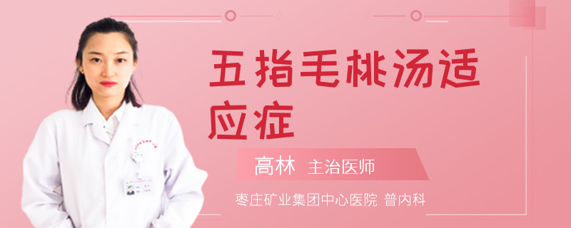 五指毛桃汤适应症