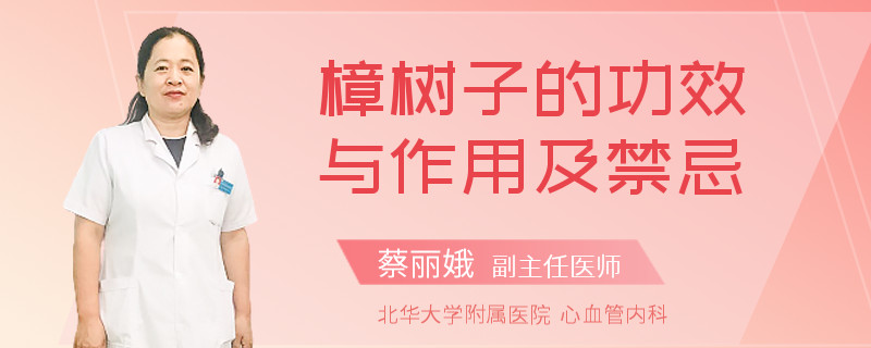 樟树子的功效与作用及禁忌