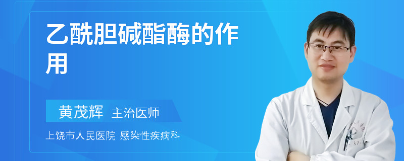 乙酰胆碱酯酶的作用