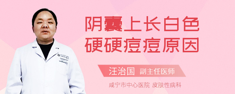 阴囊上长白色硬硬痘痘原因