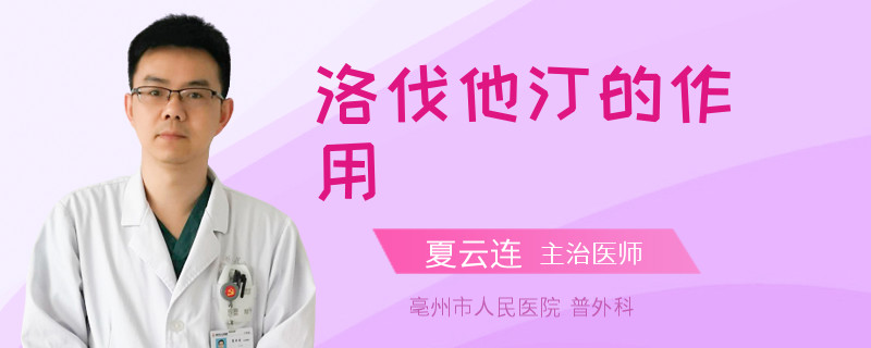 洛伐他汀的作用